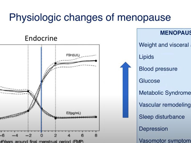 Chart showing reproductive health life course